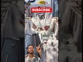 #funnyshorts 😂