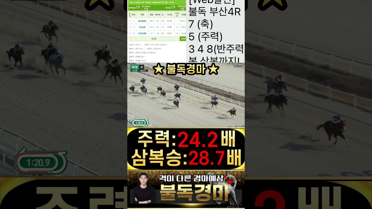 불독의 부산경마 주력한방 적중으로 전승식 올킬 시원하게 때립니다! 경마는 불독 입니다