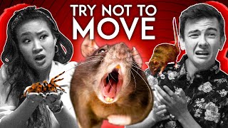 Try Not To Move Challenge | Ultimate Duel (GREATEST FEARS)