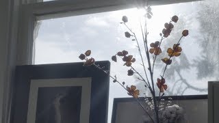 Prada Journal Inner Landscape - Teaser