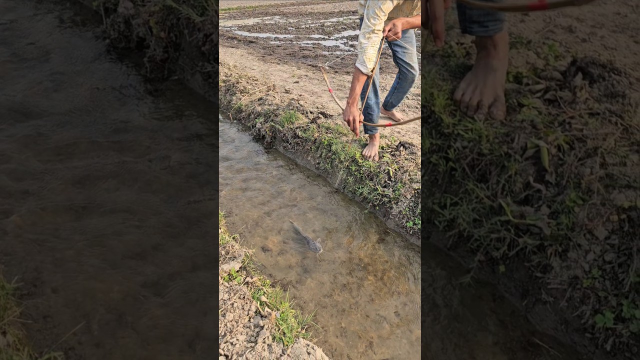 Amazing Bamboo Crossbow Fishing In Beautiful Place | Fishing video (part_27)