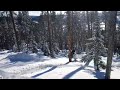 Snowmobile Adventure  Epic Snowy Ride Turns into Unexpected Drama!