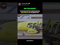 Breaking🚨: Trump Considering Buying Spirit Airlines #donaldtrump #shorts