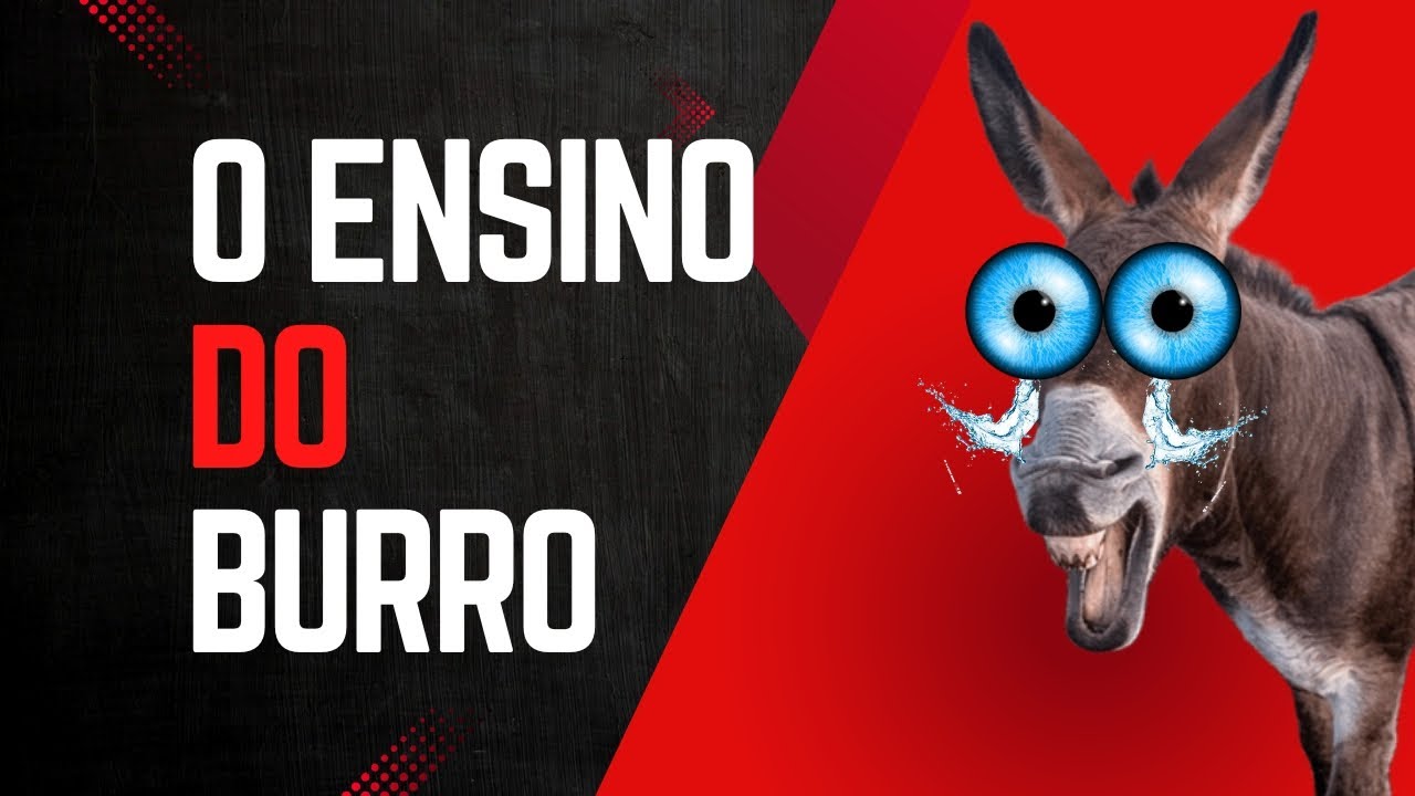 O Ensino do Burro: Uma Lição de Vida e Superação - YouTube