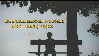 Dil Dhola Slowed &Reverb ✨ by (Zakir Ali Shaikh, Fizza Khan) #slowedandreverb #sarikisong #sadboy