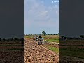 🚜🔰🚸🎊#Trator #automobile #អេមណាស់មេៗ #ឡានចាស់សុំរាប់អានផងមេៗ