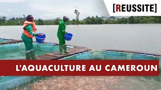 L’AQUACULTURE AU CAMEROUN - RÉUSSITE (06/10/20)