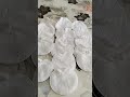 Jedan Od Načina Da Se Rešite Smrdibuba I Kupusnog Belca Belog Leptira Jedan Od Načina Da Se Rešite Smrdibuba I Kupusnog Belca Belog Leptira