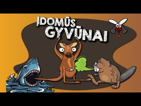 Įdomūs gyvūnai || Dabar žinai # 16