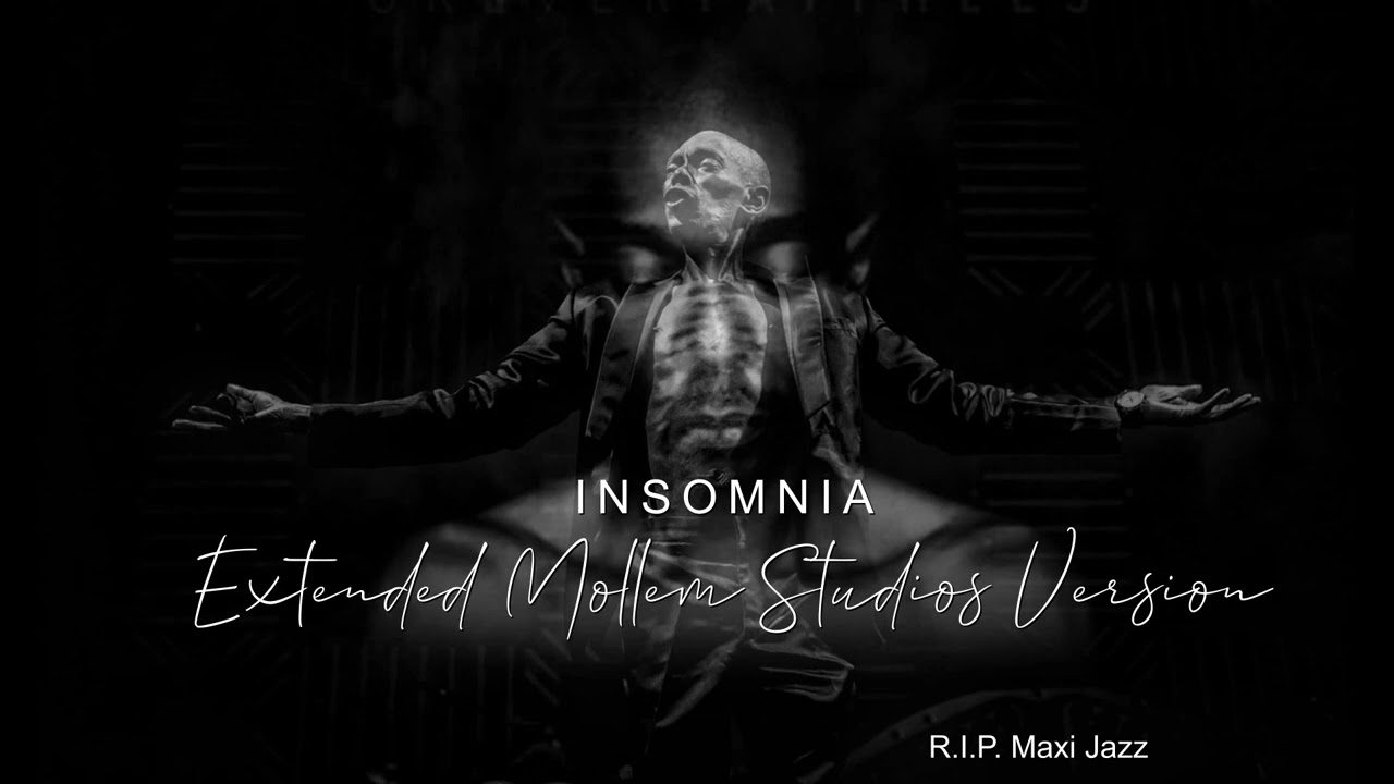 FAITHLESS   INSOMNIA Extended Mollem Studios Version   RIP Maxi Jazz