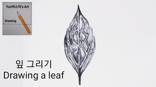 잎 그리기 |연필 스케치 | 잎 그리는 방법 | 그림 유튜버 | Drawing a leaf with pencils