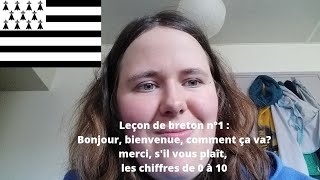 Leçon de Breton #1 : Quelques mots de vocabulaire + les chiffres de 0 à 10
