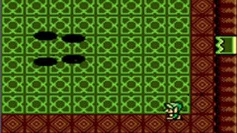 Shadow Hag - Boss #3 - Oracle Of Ages