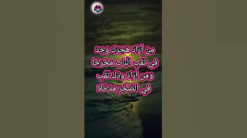 من اراد هجرك حكم واقوال العظماء عبارات نرجسية مرسى الوعي ترند اكسبلور فولو 