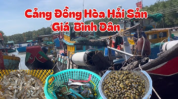 Hải sản giá rẻ ở cảng cá Đồng Hòa tại huyện Cần Giờ cách trung tâm Sài Gòn một tiếng đi xe