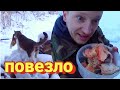 СПАСАЮ УЛИЧНЫХ КОТОВ, КОРМЛЮ ФОРЕЛЬЮ