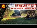 Вот ОНА Реальная Рыбалка в Астрахани / ПРИЕХАЛ НА РЕКУ В ЛЕС