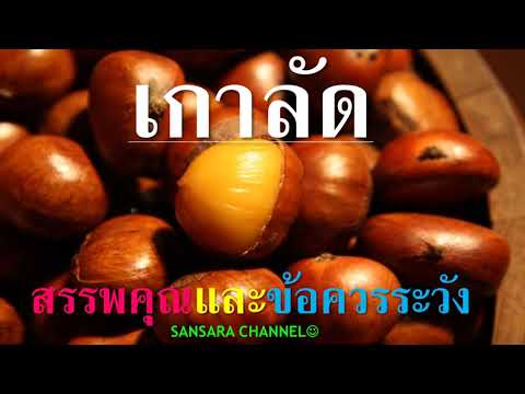 วีดีโอ: เกาลัดกินได้ รสเด็ด คุณสมบัติที่มีประโยชน์