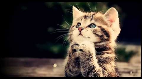 FIX:YouTube-500 Internal Server Error;A team of highly trained monkeys has dispatched.