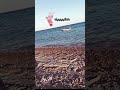 ضحكت عيون حبيبي ضحكت ليها اليالي سافر قلبي لحبيبي سافر عند القمر عمرو دياب الهصبه