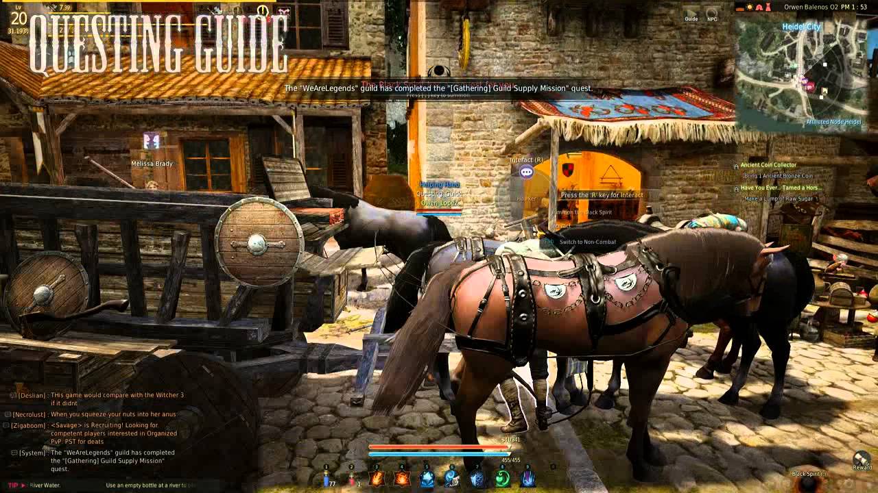Black Desert Have You Ever Tamed A Horse Youtube
