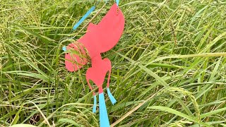 Kite Flying Season - Kite Vlog