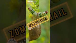 "Zombie" Snail | Disco Zombies #shorts