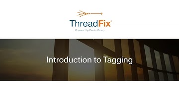 ThreadFix Introduction to Tagging Part 1- Software walk-through video.