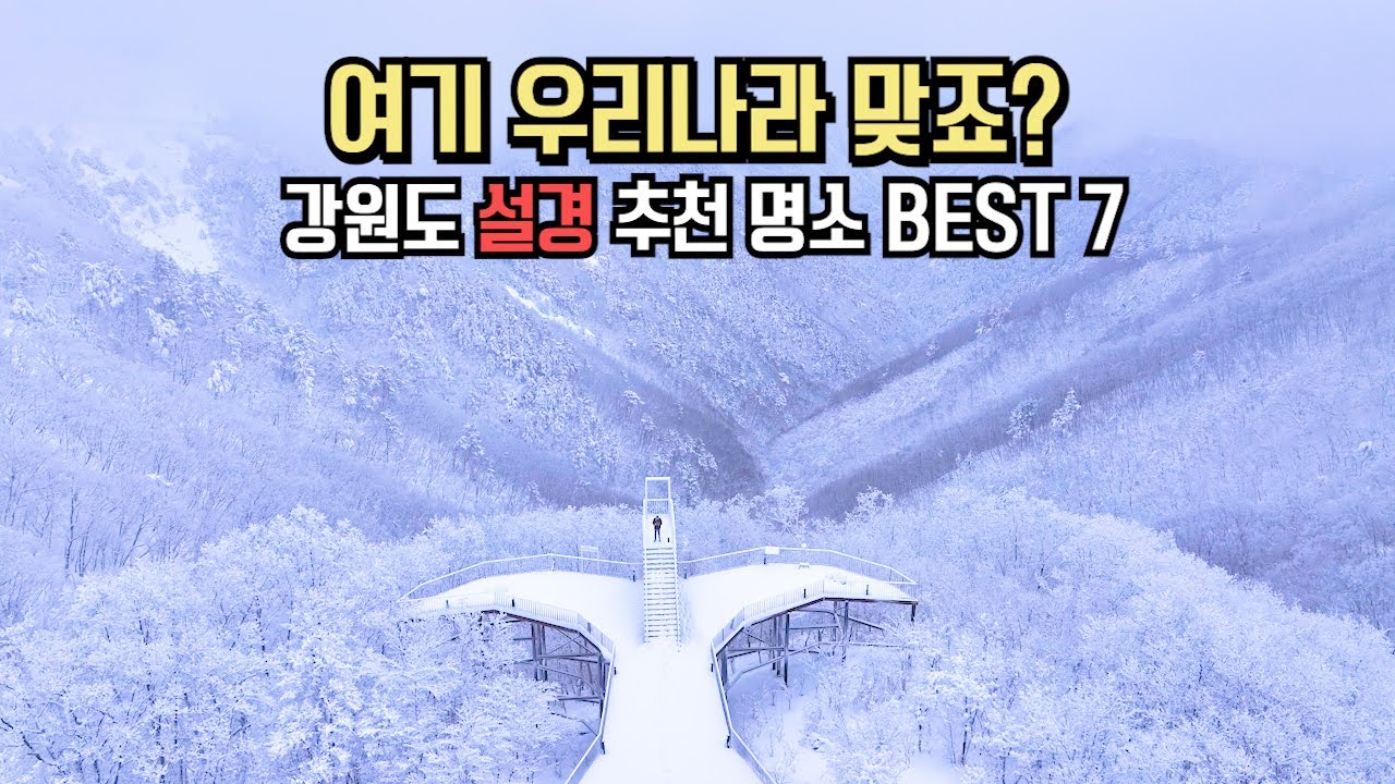 국내 여행 추천 이국적인 강원도 설경 명소 BEST 7
