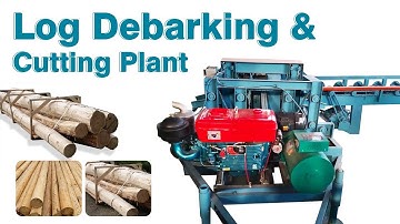 Log Debarking & Cutting Plant | Wood Debarker | Log Sections Cutting Machine #WoodDebarkerMachine