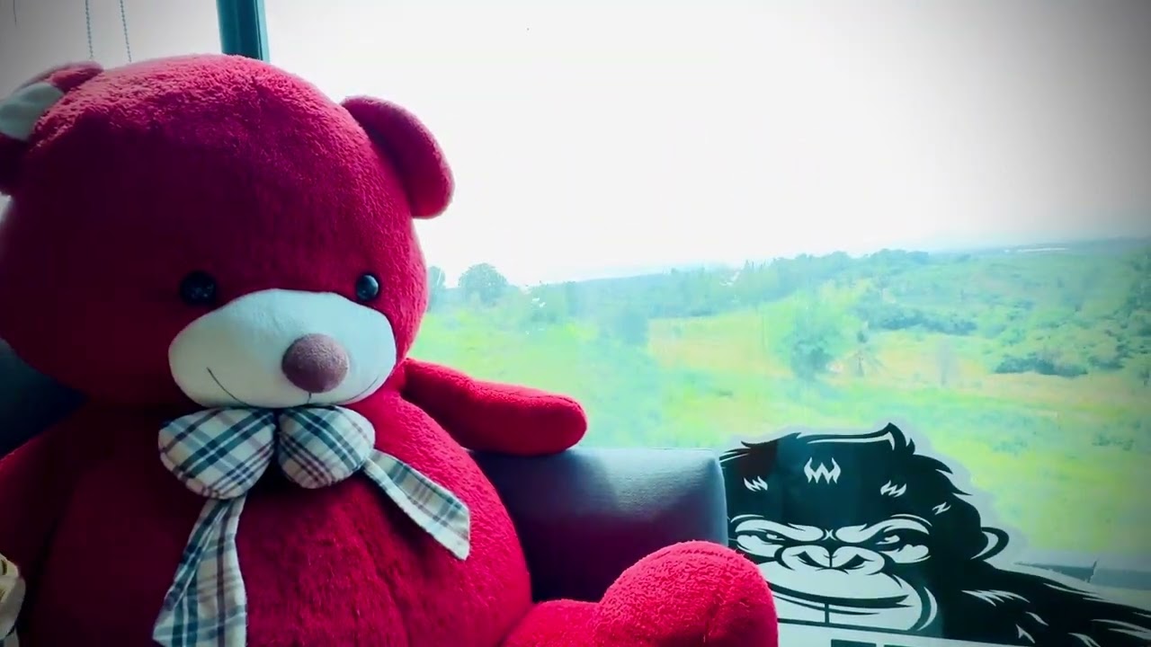 Cafe' King Kong Hill Coffee and Restaurant