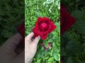 Красоты природы