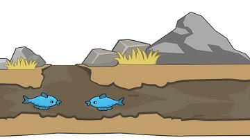 Watering Puzzle Level 21-30 Gameplay