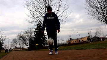 INSIDE ABBAS ATW(OUT) - AHTATW