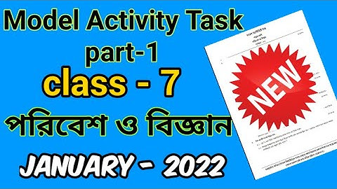 class 7 science model activity task 2022 | model activity task class 7 science 2022 | @Banglar Tutor