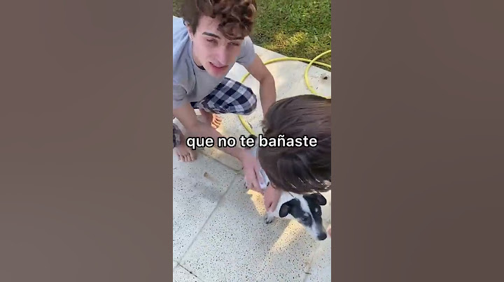EL BAÑO DE MI PERRO