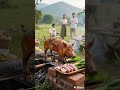 Outdoor Camping Roasted Pigs Never Expected Boo Absurd Video Watch Once And Laugh Once The Vi Outdoor Camping Roasted Pigs Never Expected Boo Absurd Video Watch Once And Laugh Once The Vi