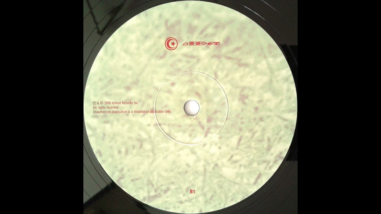 Armand Van Helden - Koochy