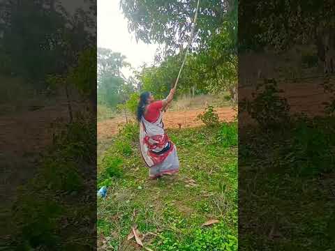 #suscribe #song #viralvideo