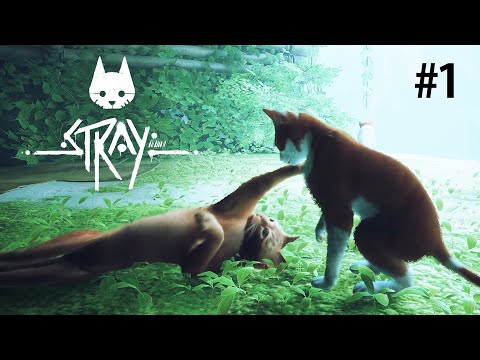 hqdefault.jpg?v=64c0052f