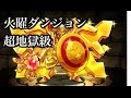 パズドラ【火曜ダンジョン】超地獄級　白光隼炎神・ホルス×2　コスケ解説攻略！