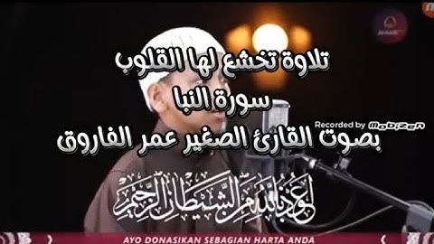 تلاوة تخشع لها القلوب || سورة النبا || القارئ الصغير عمر الفاروق