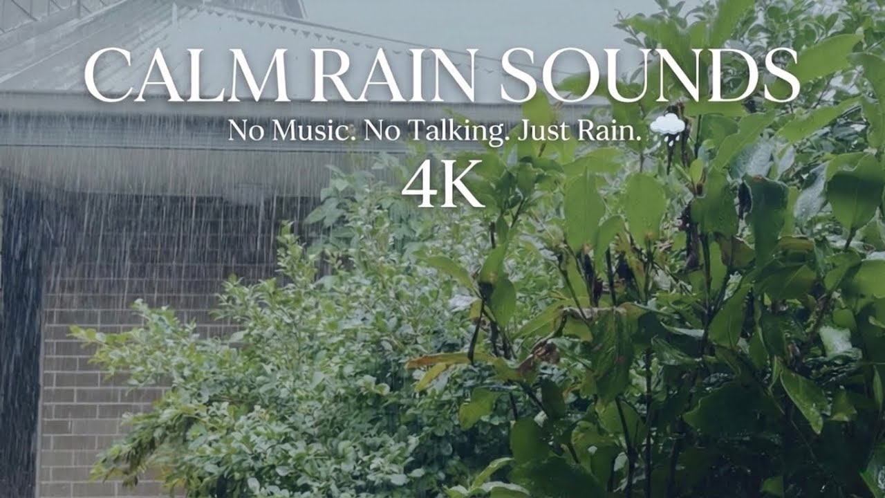 Soft Rain Sounds in Silence | Minimal Ambient Mood 🌧️