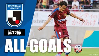 Ｊ３第12節の全ゴールまとめ！ALL GOALS：明治安田生命Ｊ３第12節