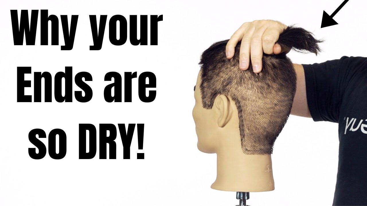 Why the Ends of your Hair are so DRY - TheSalonGuy - YouTube