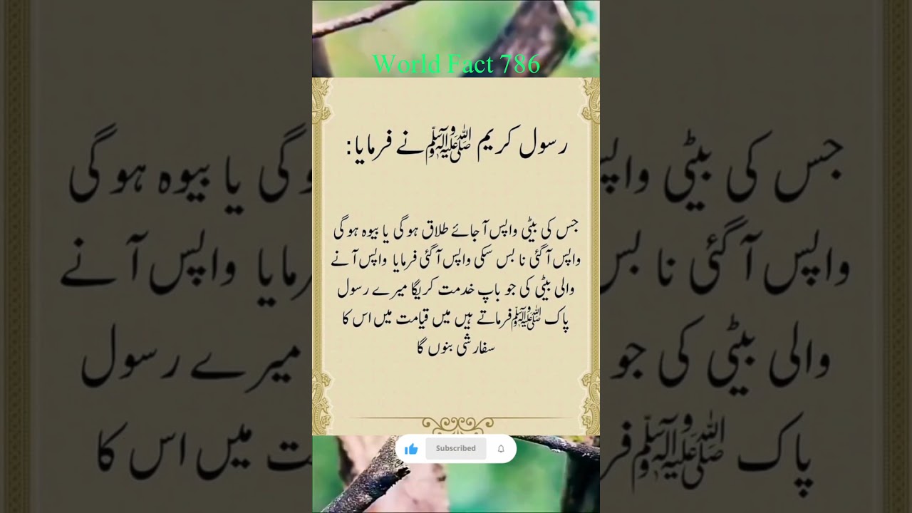 Best Islamic Urdu Quotes Video 🔥💯 