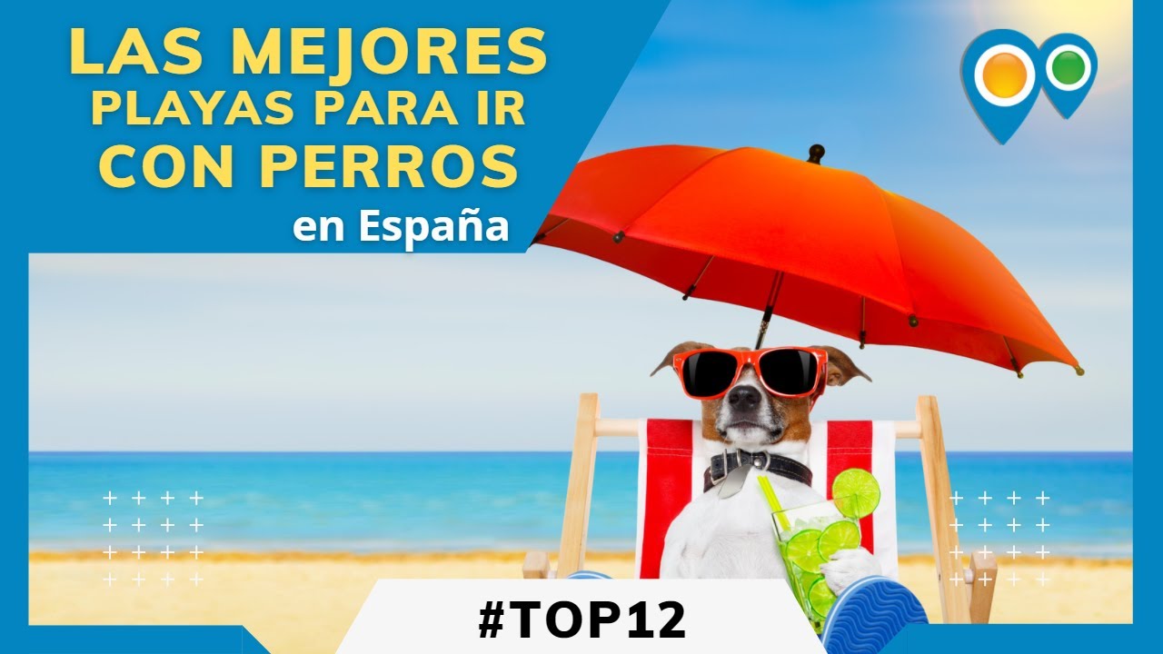 Las 12 mejores PLAYAS para ir con PERROS en España 2022 - Playas para bañarte con mascotas y perros.