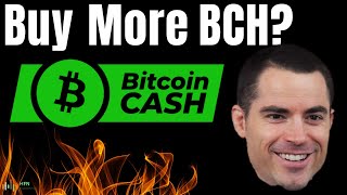 Buying More Bitcoin Cash Is A Smart Move? BCH Crypto Price Rise Is Imminent?