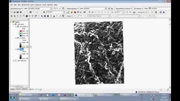Tutorial ArcGIS 9.3: Upload and organise raster data