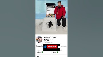 Can I Teach a Penguin To Subscribe #subscribe #shorts #viral #mrbeast
